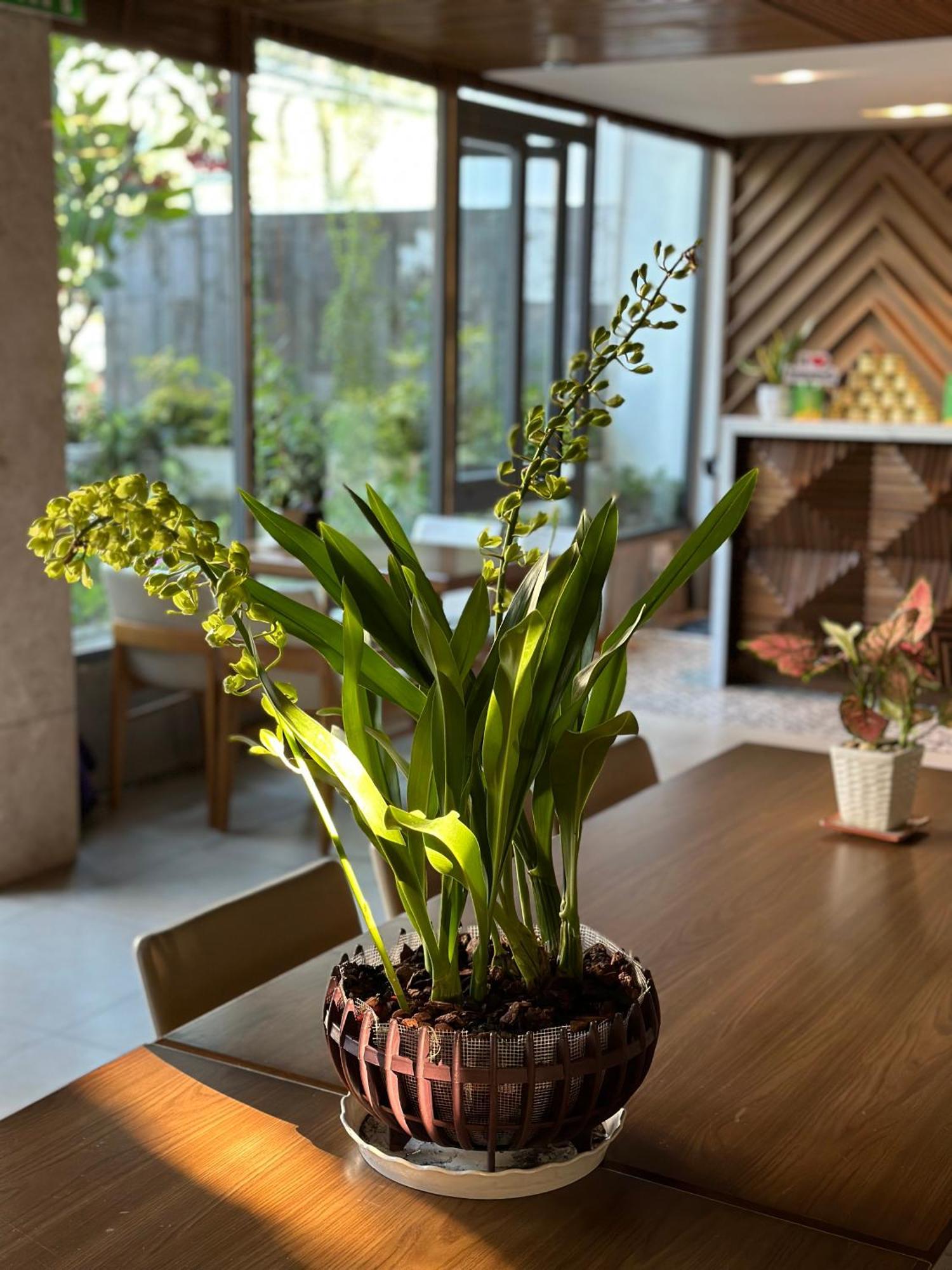 Hotel Ponte Boutique Da Nang Zewnętrze zdjęcie